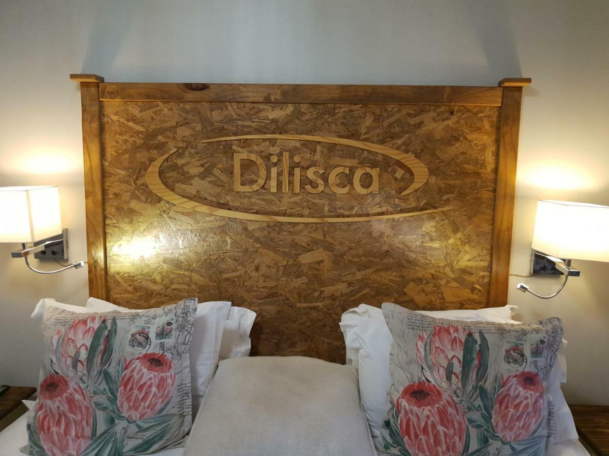 Dilisca Guesthouse 杜班维尔 外观 照片