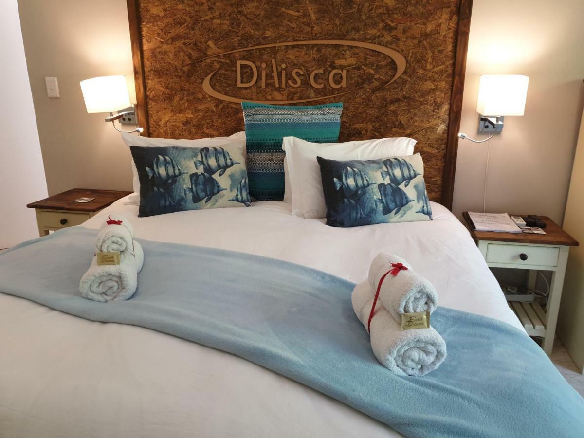 Dilisca Guesthouse 杜班维尔 外观 照片