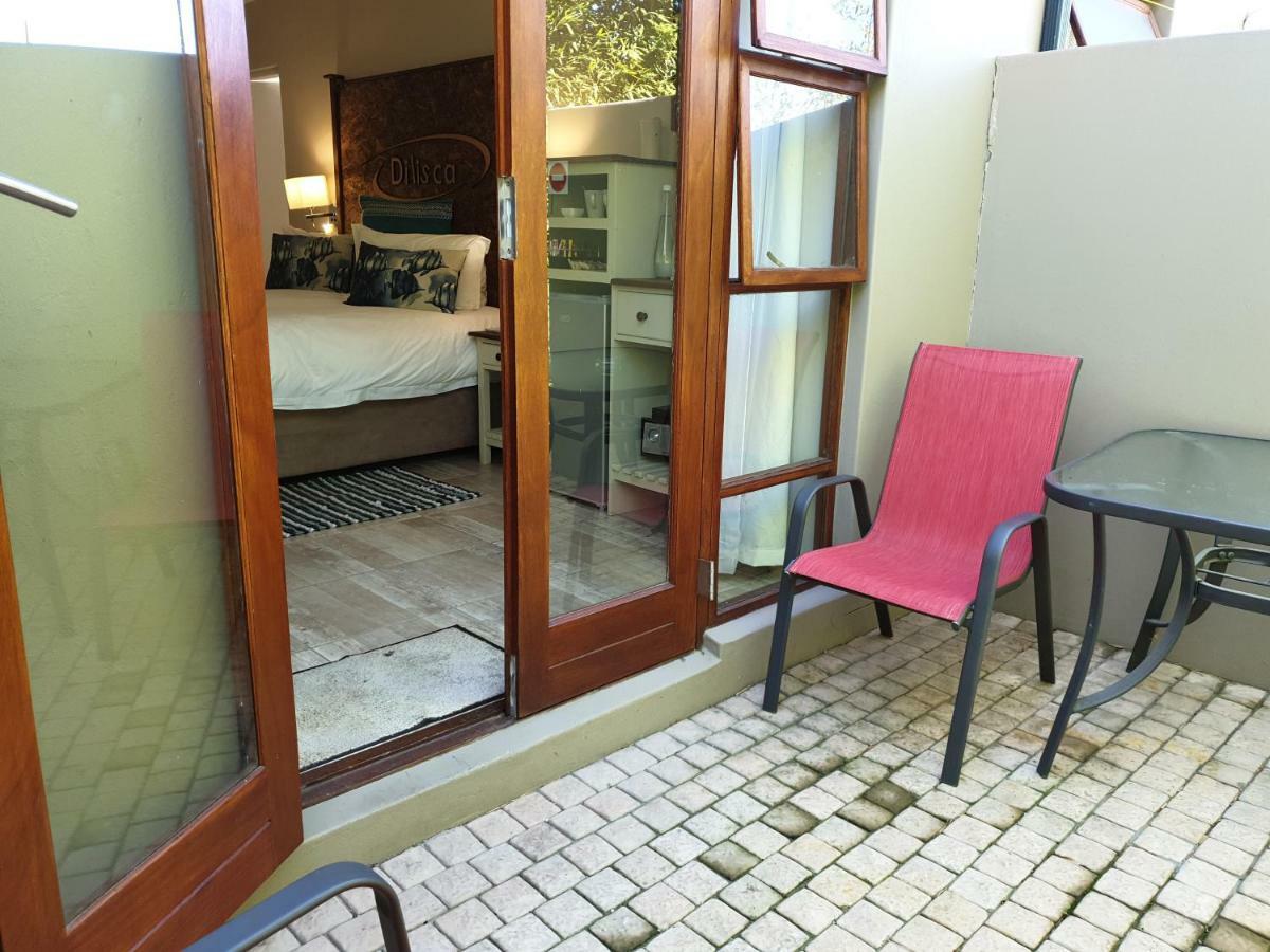 Dilisca Guesthouse 杜班维尔 外观 照片