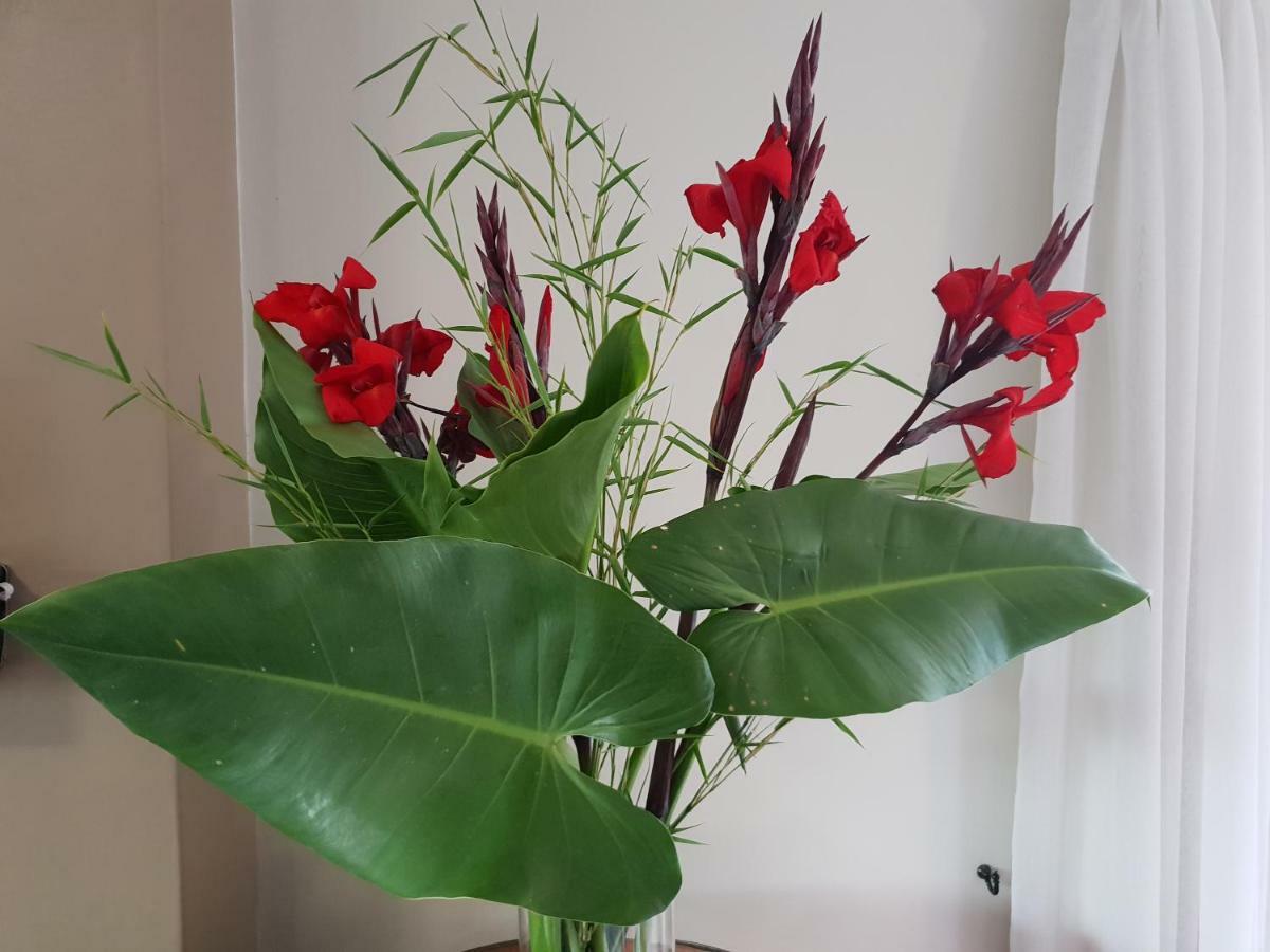 Dilisca Guesthouse 杜班维尔 外观 照片